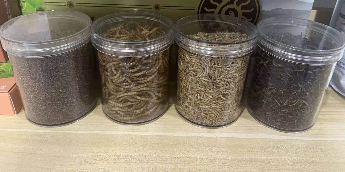 昆虫蛋白饲料产品实拍